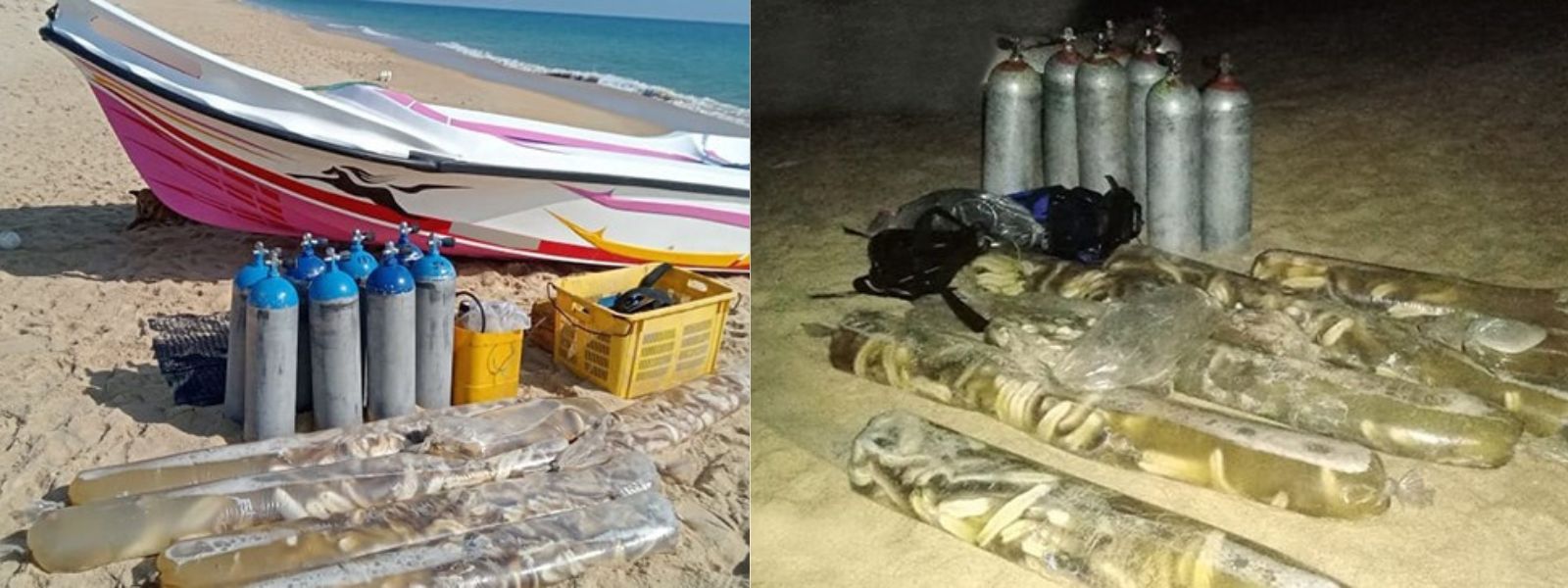 17 arrested for illegally harvesting Sea Cucumber